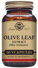 Olive Leaf Olive Oleo Europaea 60 Capsules Olive Leaf Olive Oleo Europaea 60 Capsules