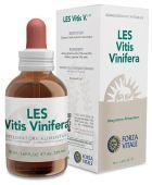 Vitis Vinifera Grape Vine 50 ml