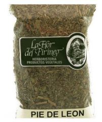 Lion Foot 40 Gr