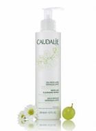 Micellar Water