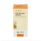 Cordyceps 90 Capsules